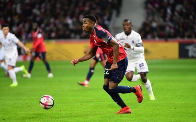 佛羅倫薩在 佛羅倫薩在